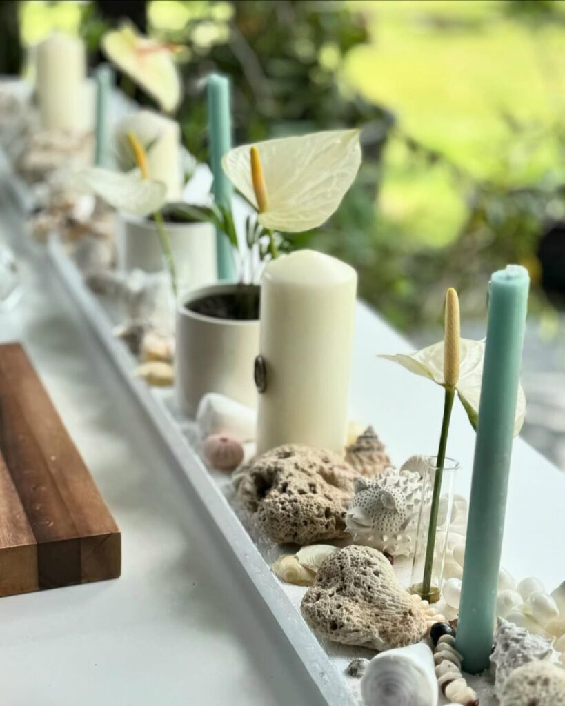 Ysnay Martinique - Le Baobab Rouge